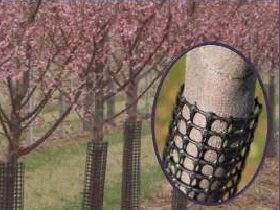 Buy Agricultural Netting Now